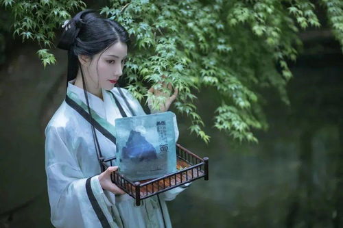 自嗨鍋推出新產(chǎn)品,包裝設(shè)計驚艷了